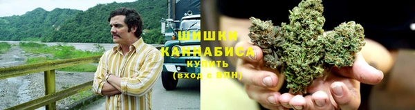 трава Горнозаводск
