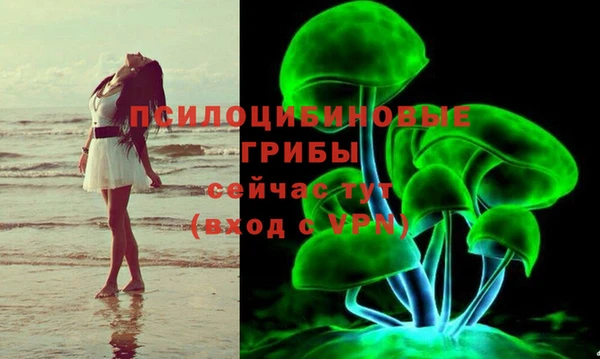 трава Горнозаводск