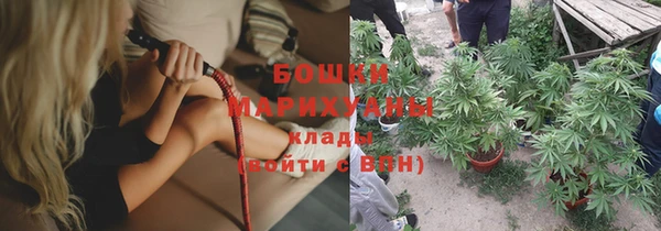 трава Горнозаводск