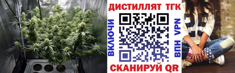 где продают   Катайск  ТГК вейп 