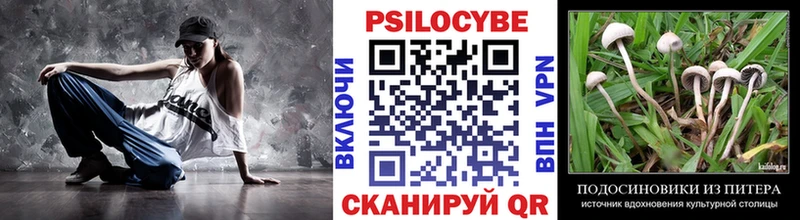 Галлюциногенные грибы GOLDEN TEACHER Катайск